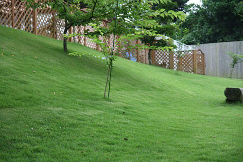 20100703_1.jpg