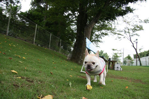 20100703_2.jpg