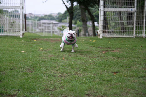 20100703_3.jpg