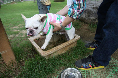 20100703_6.jpg
