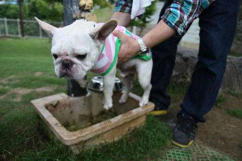 20100703_7.jpg