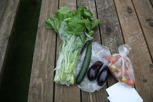 20100703_9.jpg