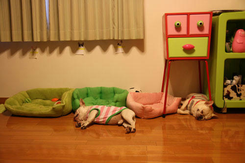 20100719_3.jpg
