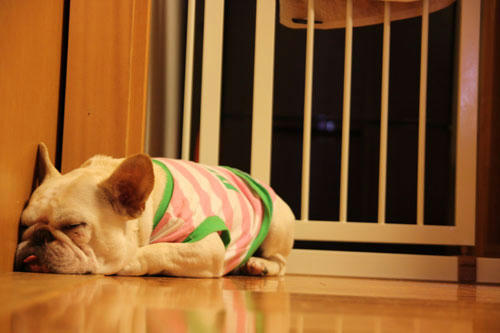 20100730_4.jpg