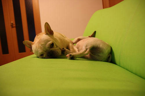 20100814_1.jpg