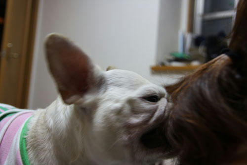 20100824_3.jpg
