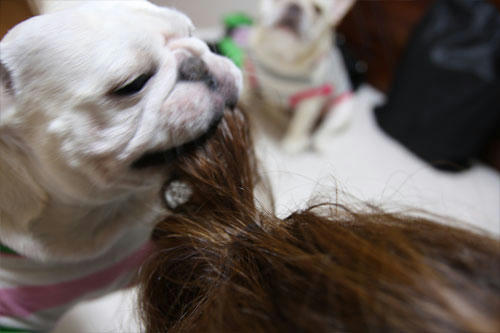 20100824_4.jpg