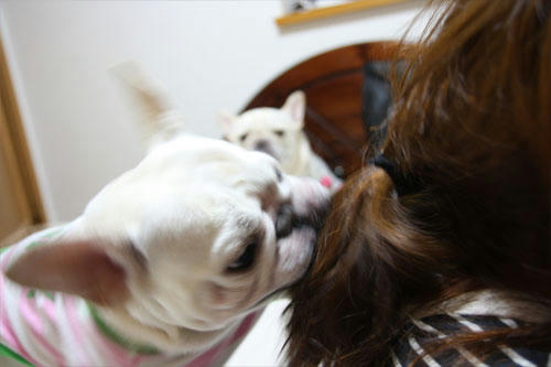 20100824_6.jpg