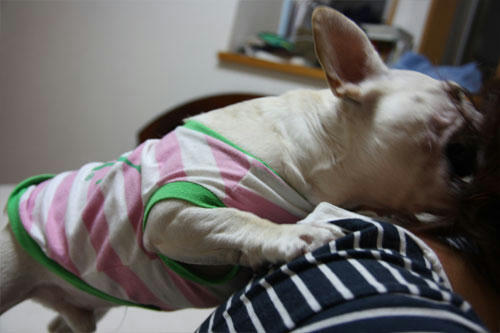 20100824_7.jpg