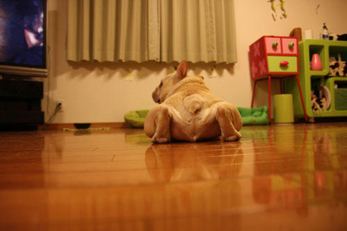 20100912_2.jpg