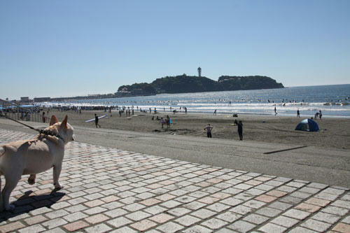 20101017_1.jpg