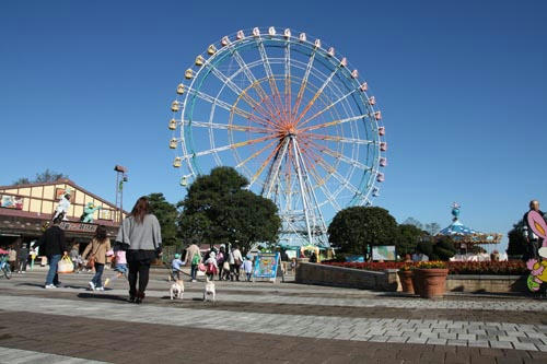 20101113_1.jpg