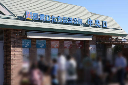 20101113_2.jpg