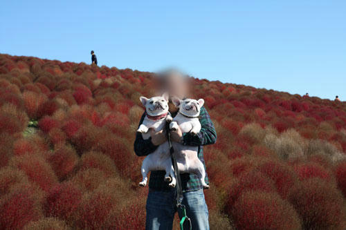 20101113_9.jpg