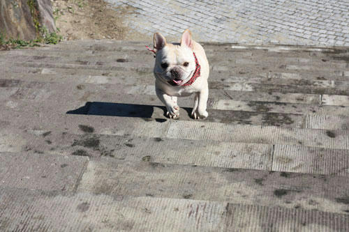20101113_12.jpg
