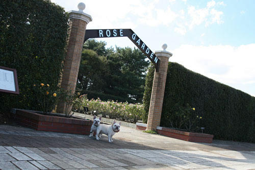 20101113_14.jpg