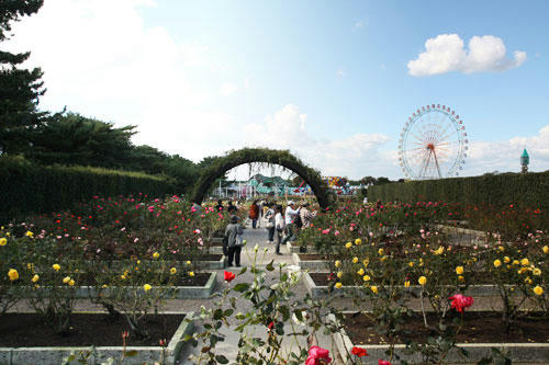 20101113_15.jpg