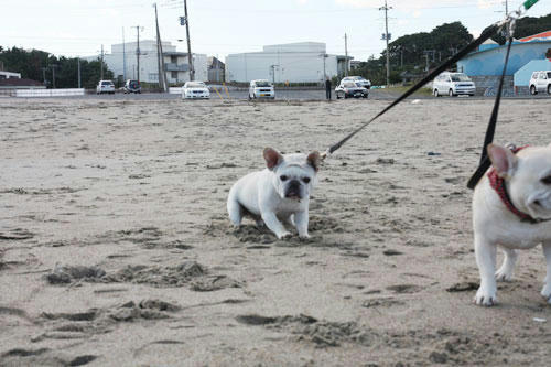 20101113_22.jpg