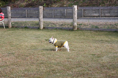 20101127_3.jpg