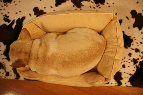 20101206_6.jpg