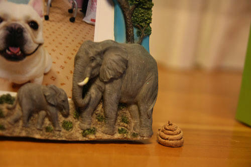 20110123_10.jpg