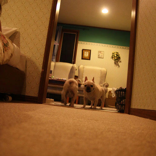 20110517_86.jpg