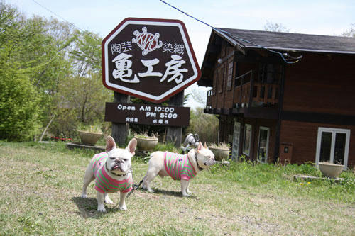 20110515_89.jpg