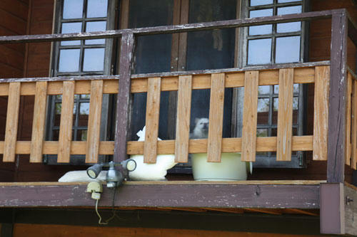 20110515_94.jpg