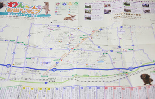 20110515_113.jpg