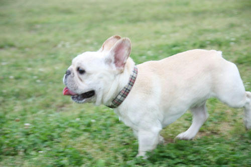 20110528_6.jpg