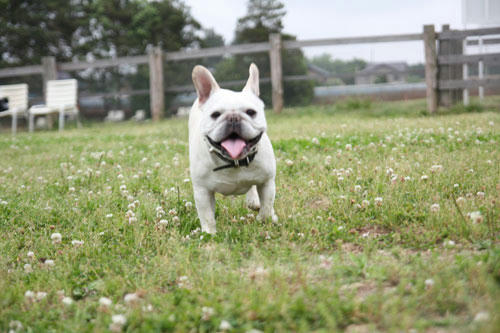 20110528_12.jpg