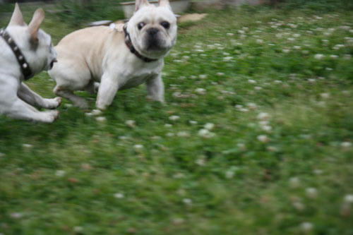 20110528_13.jpg