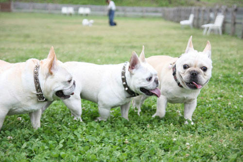 20110528_14.jpg