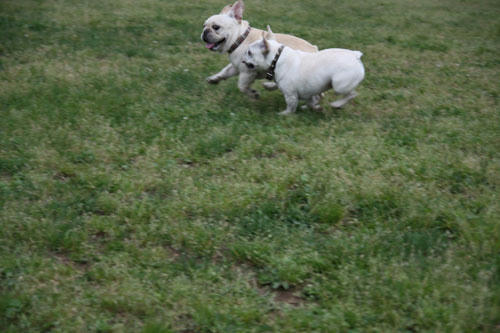 20110528_16.jpg