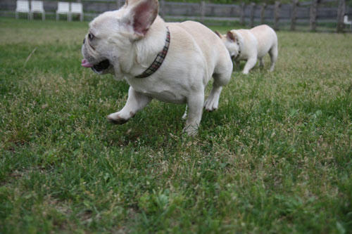 20110528_20.jpg