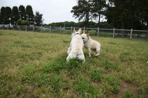 20110528_28.jpg
