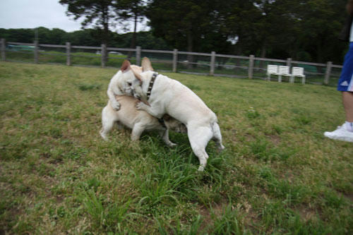 20110528_29.jpg