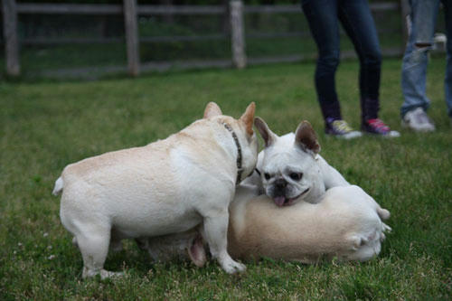 20110528_31.jpg