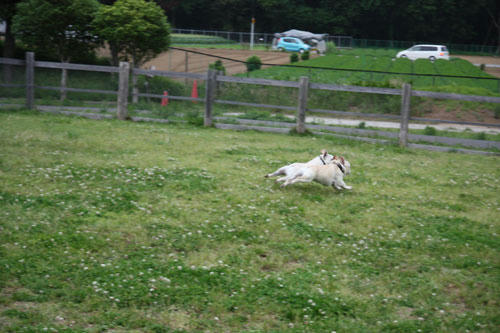20110528_34.jpg