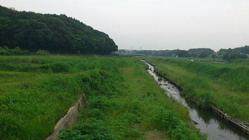 20110613_1.jpg