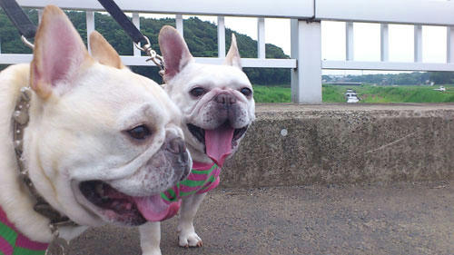 20110613_2.jpg