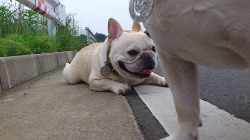 20110613_6.jpg