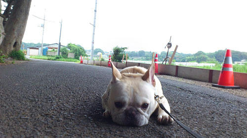 20110613_7.jpg