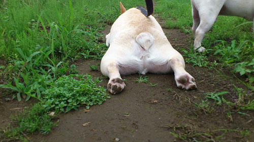 20110613_8.jpg