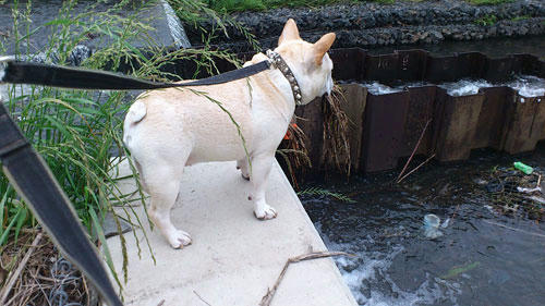 20110613_10.jpg