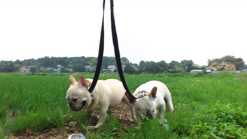 20110613_11.jpg