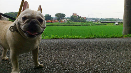 20110613_13.jpg