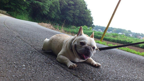 20110613_14.jpg