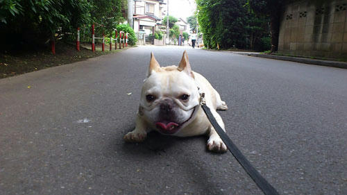 20110613_15.jpg