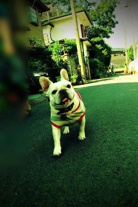 20110622_4.jpg